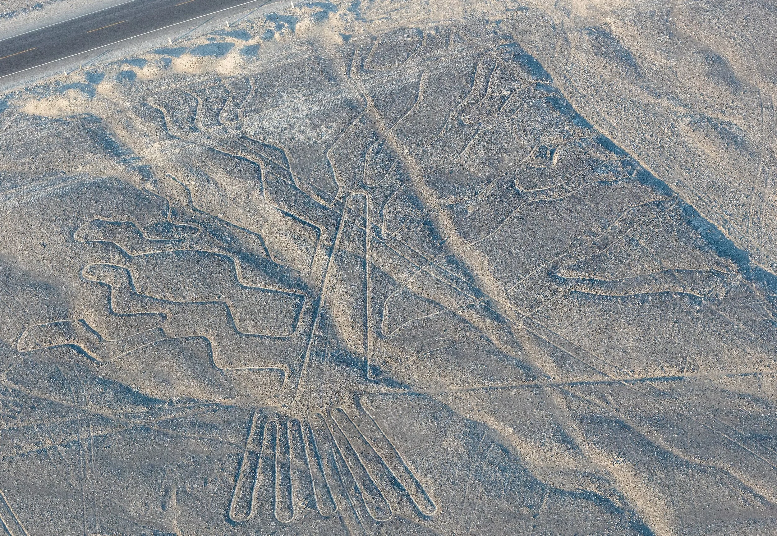 AN23 2560px-Líneas_de_Nazca,_Nazca,_Perú,_2015-07-29,_DD_61.jpeg
