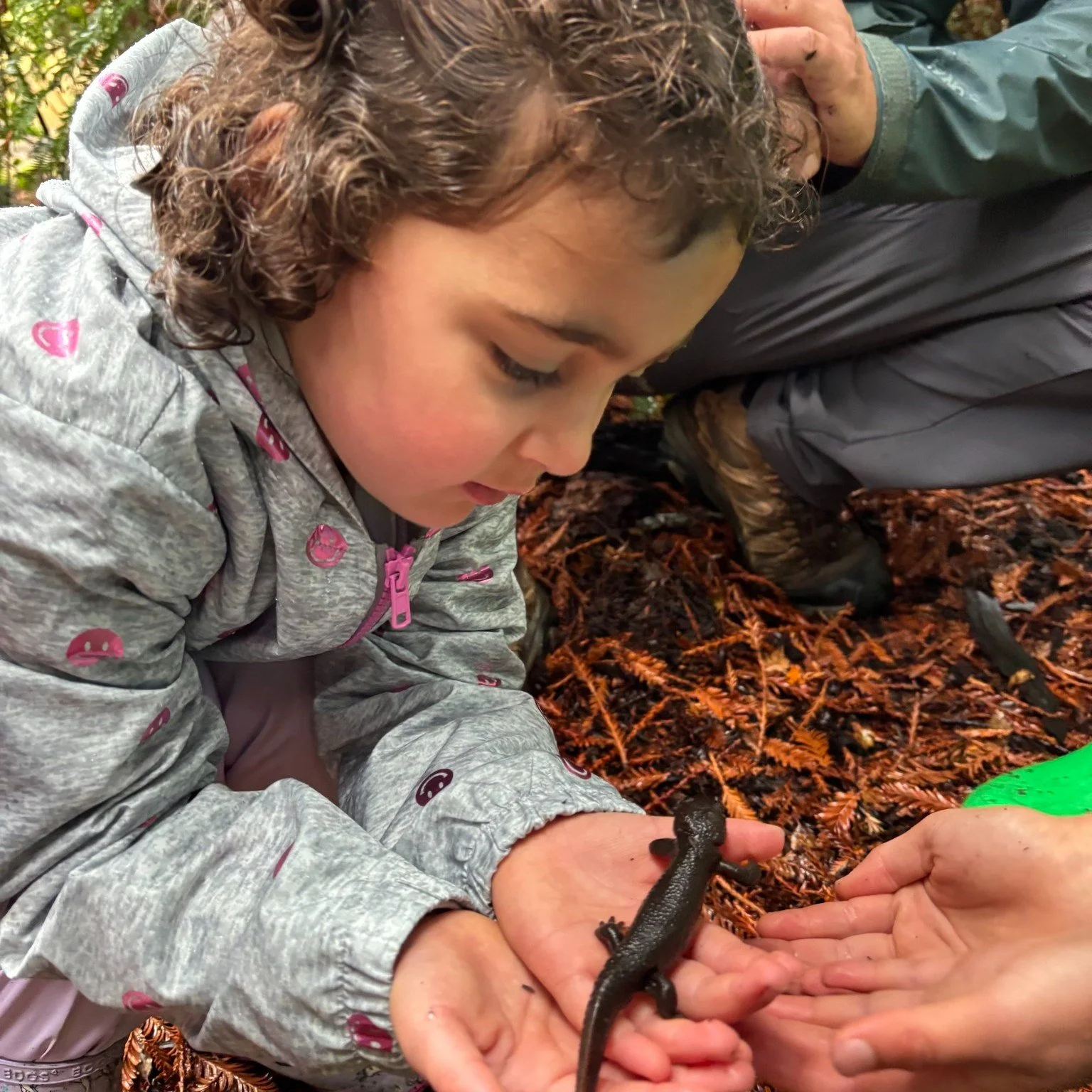 More highlights from Outdoor Ed week! It was a magical week of hikes, learning about native flora and fauna, and playing games to build social-emotional skills.