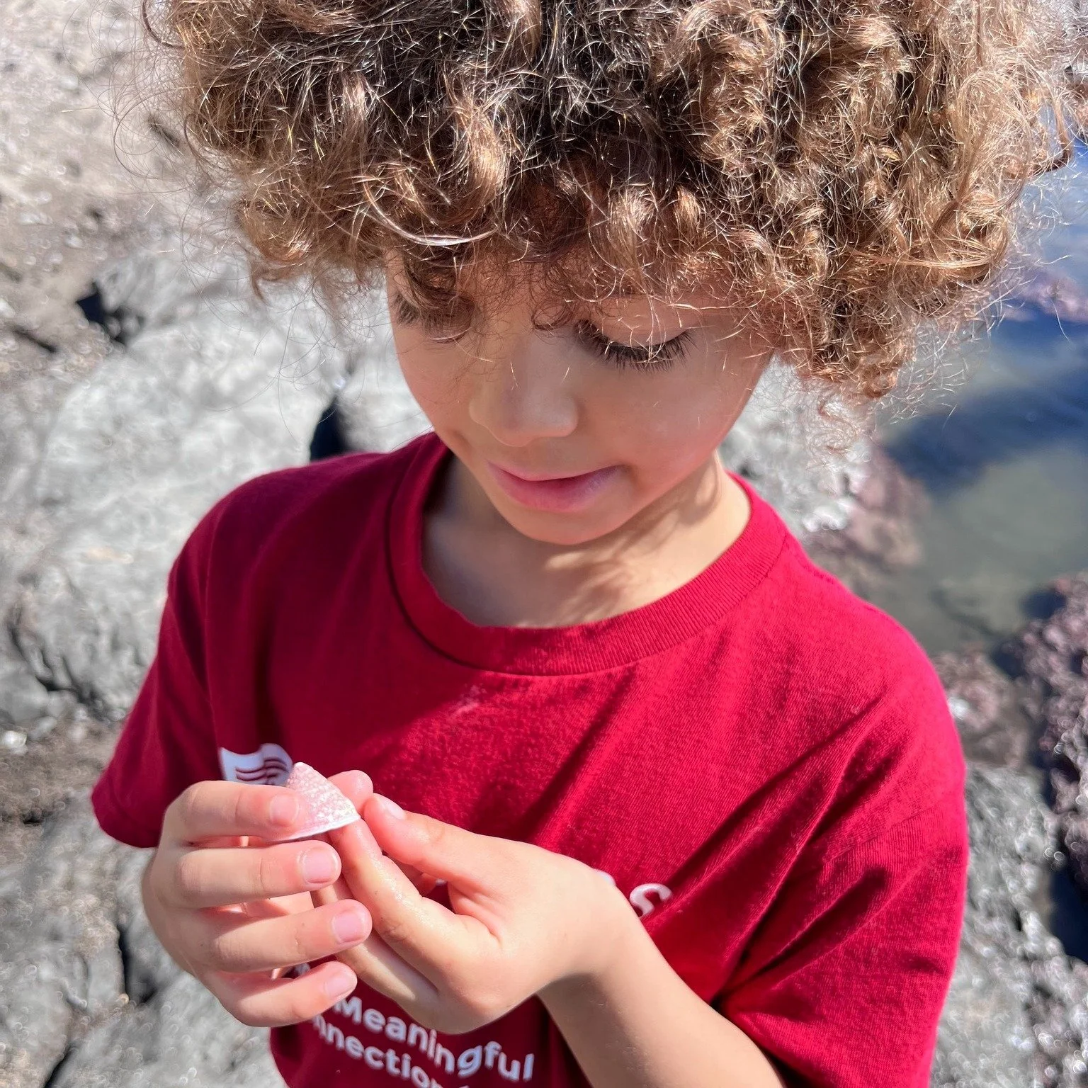 What a beautiful day for a field trip to the tide pools! Every Friday, our students go on hikes, visit museums, or work on special projects that enrich and inspire.