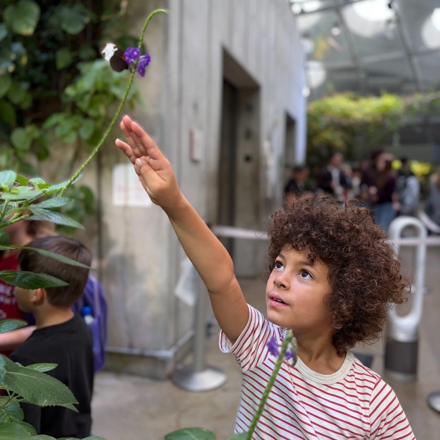 Highlights from our trip to the Lawrence Hall of Science! 🐠🐟

@thelawrencehallofscience

#thelawrencehallofscience
#chronosacademy #makerspace #giftedlearning