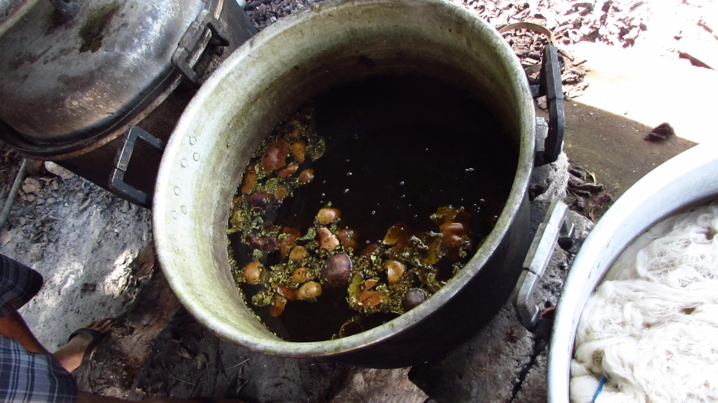 POMEGRANATE DYE POT