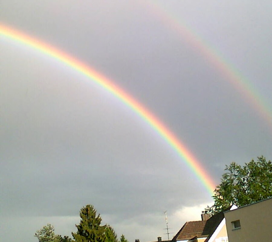 Woche 29_Bild.jpeg