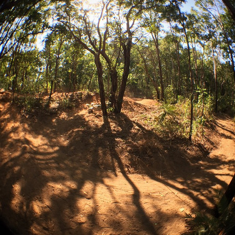 DamianInDarwin_WirrawayFlow_large.jpeg