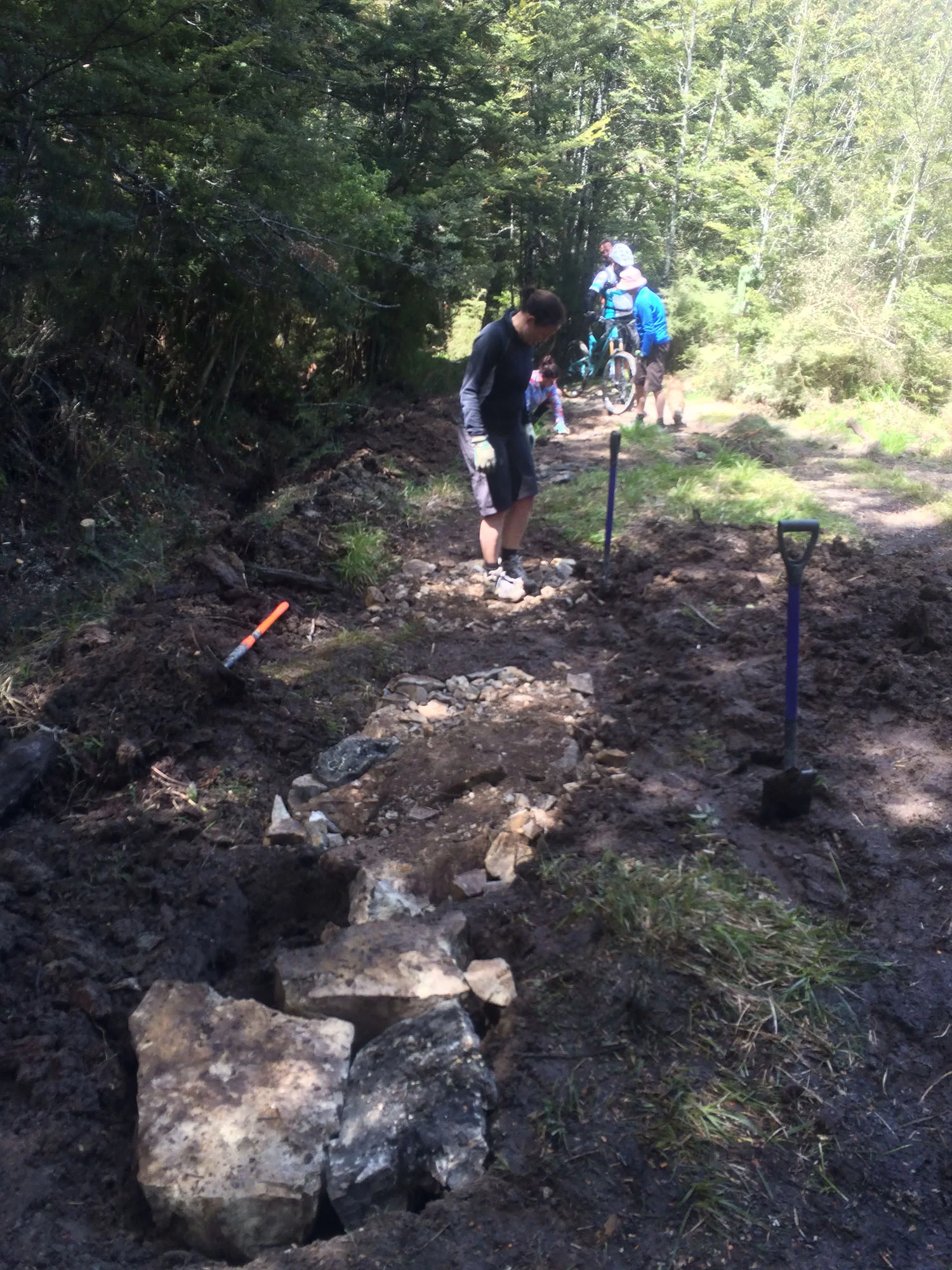 Rock armouring, Wharfedale saddle 