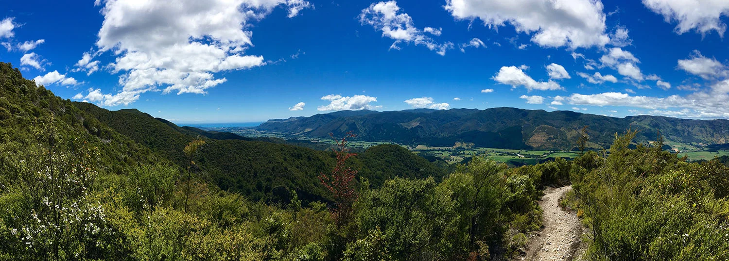 View down into the Takaka valley 