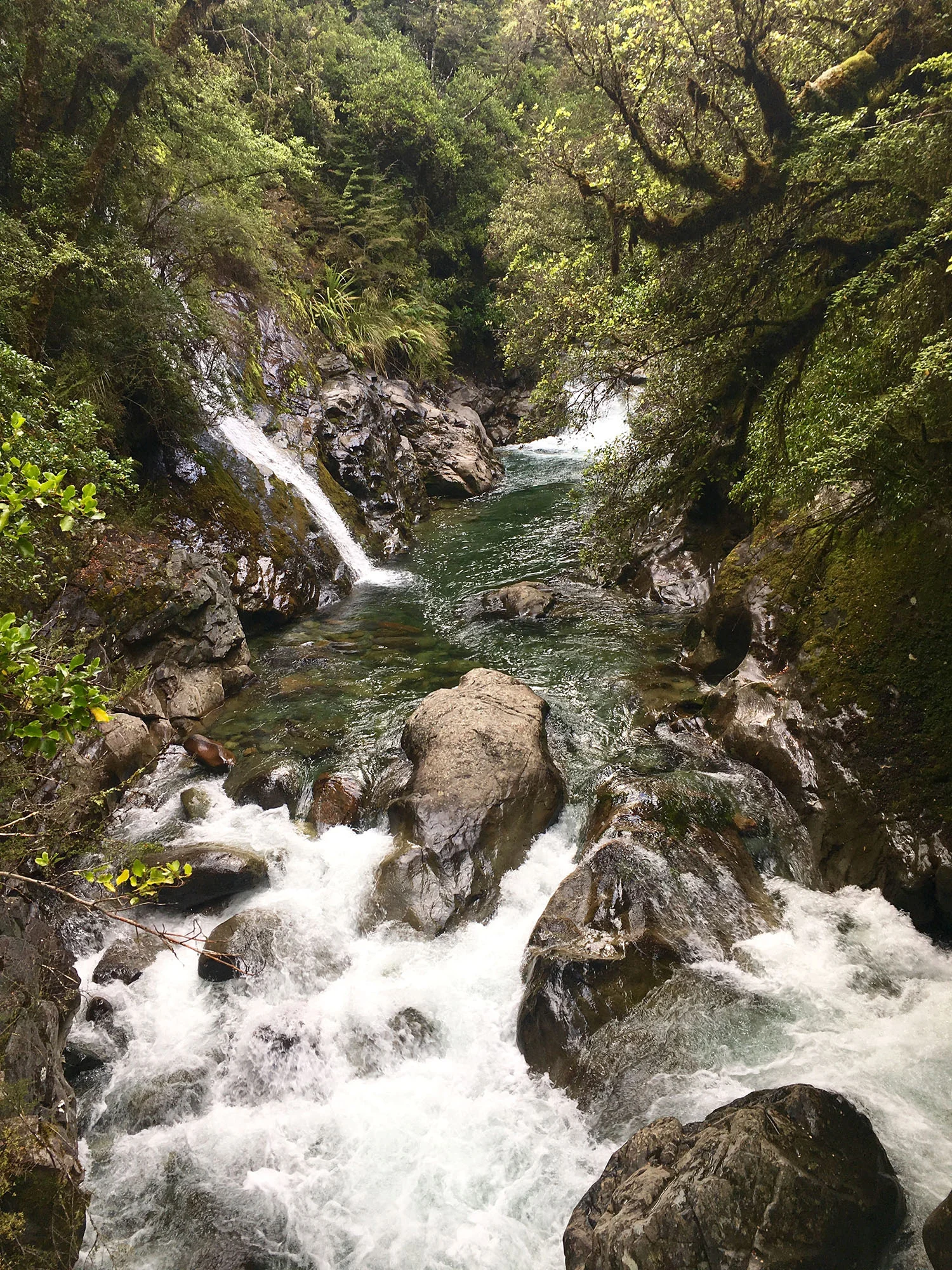 Waingaro River Gorge