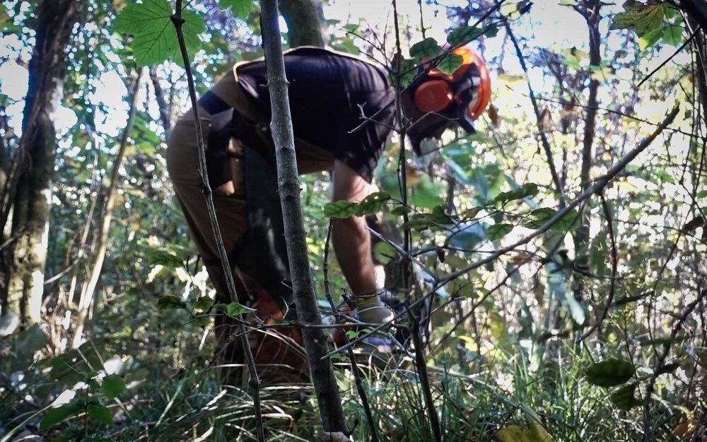 chain-saw-web.jpg