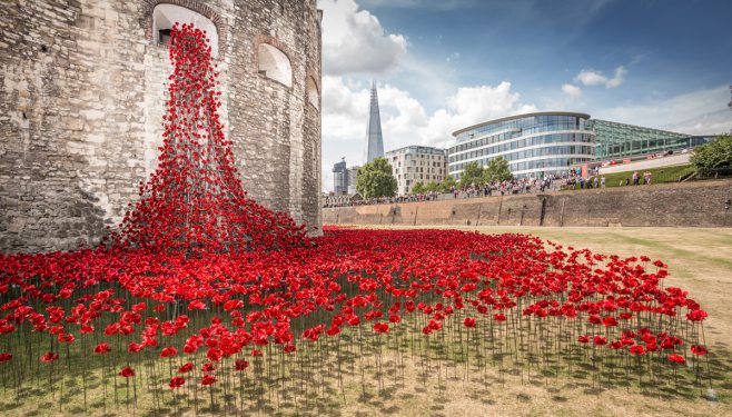 Poppies at the Tower of London