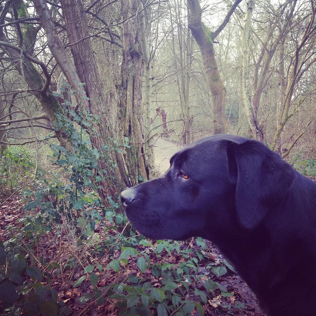 Strolling along the lake path takes you deep into the Park and Nature Reserve