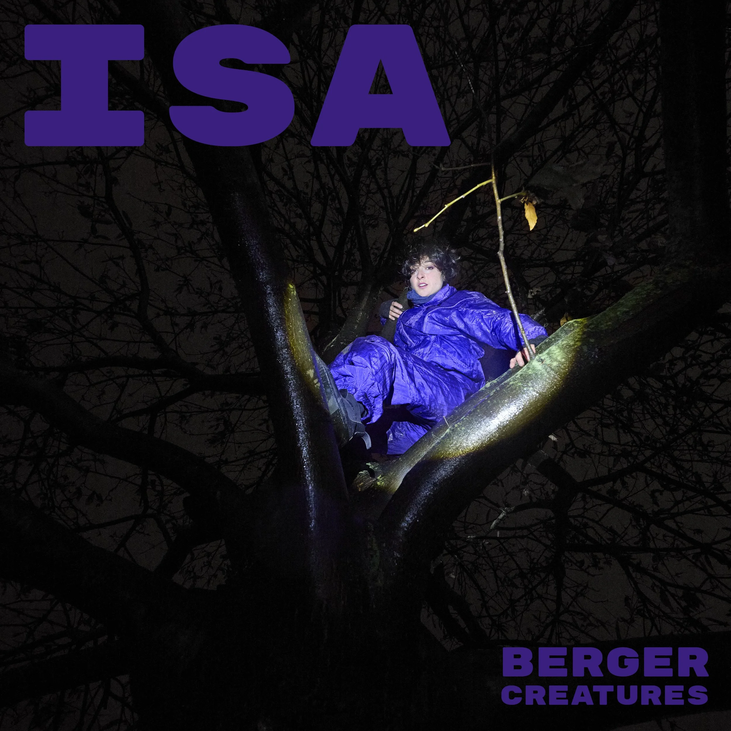 Isa Cover.jpg