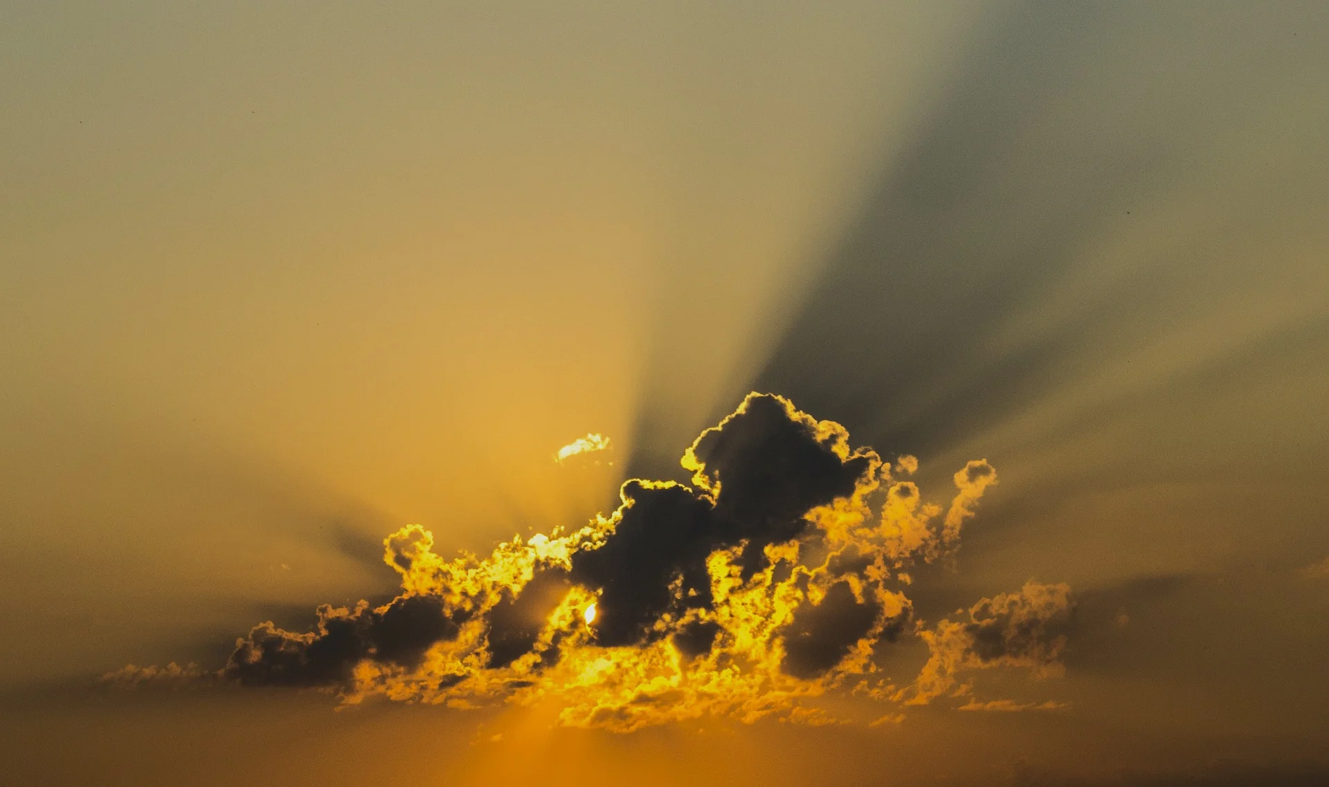 Find Bramble Hub and our Partners on G-Cloud 11