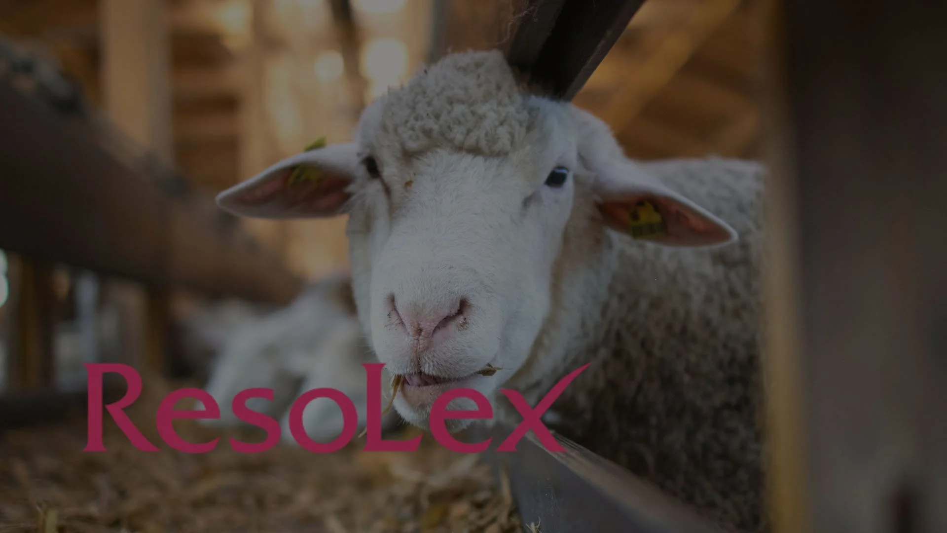 ResoLex Providing Behavioural Consultancy to Key Defra Animal Health Project