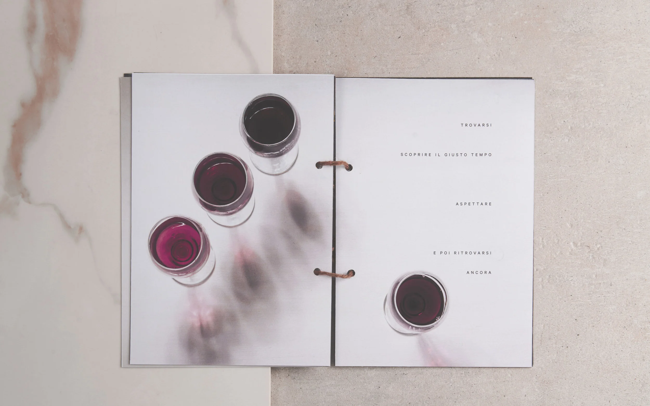 Calice Guide Book /2