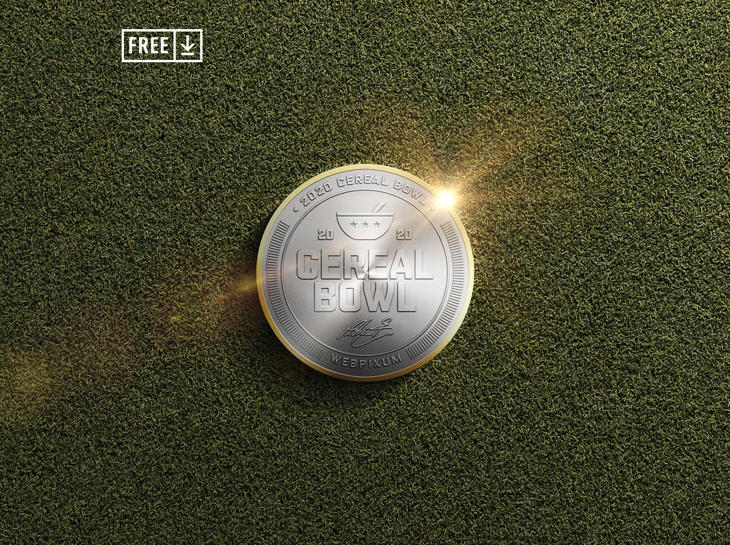 Flip Coin Mockup — WEBPIXUM SPORTS MOCKUPS