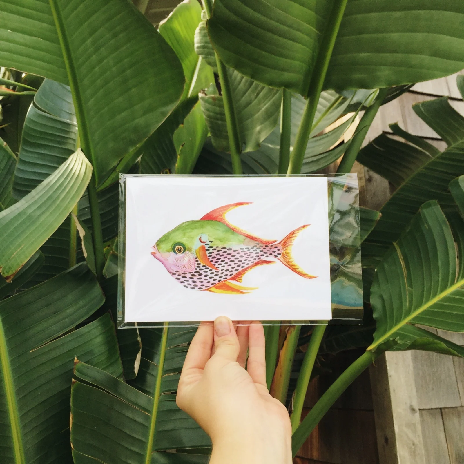 vsco_121415.jpg
