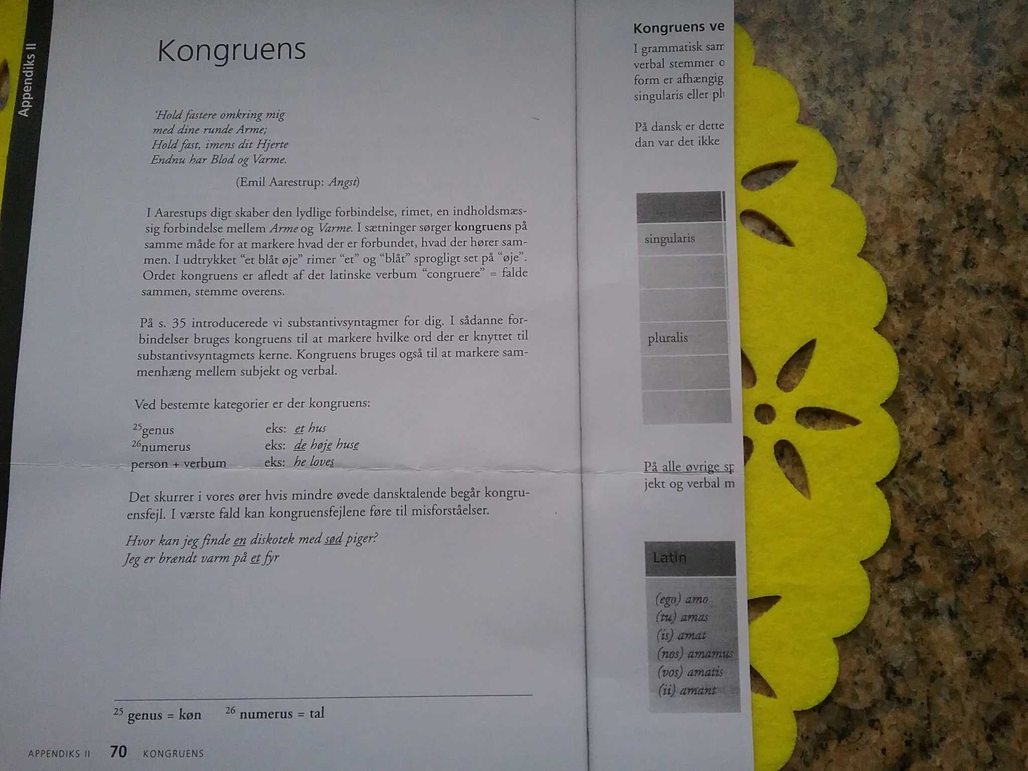 I grammatiktikbogen Perleporten (1999) bliver ”Angst” også gjort til sprogligt eksempelmateriale i demonstration ag kongruensbøjninger i det danske sprog.