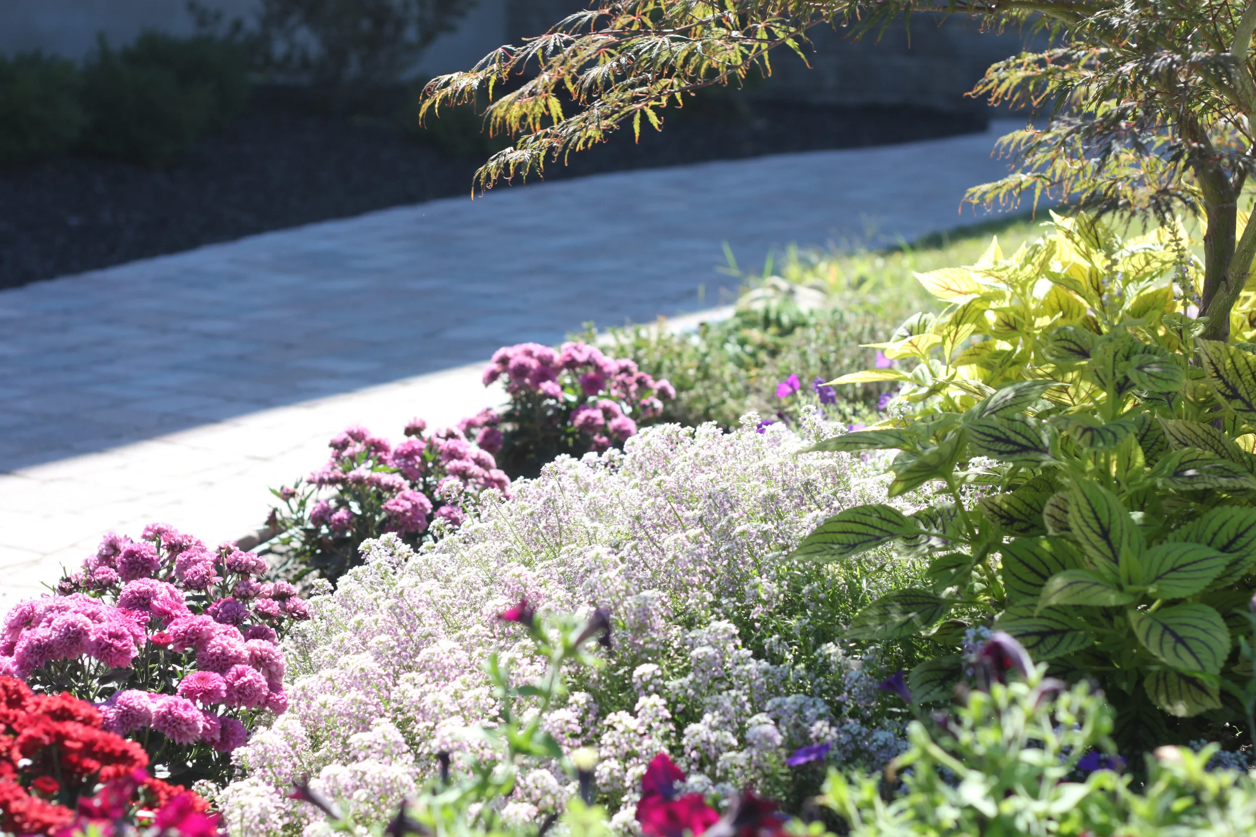 Planting Design in Dutchess County, NY — Adams Landscaping
