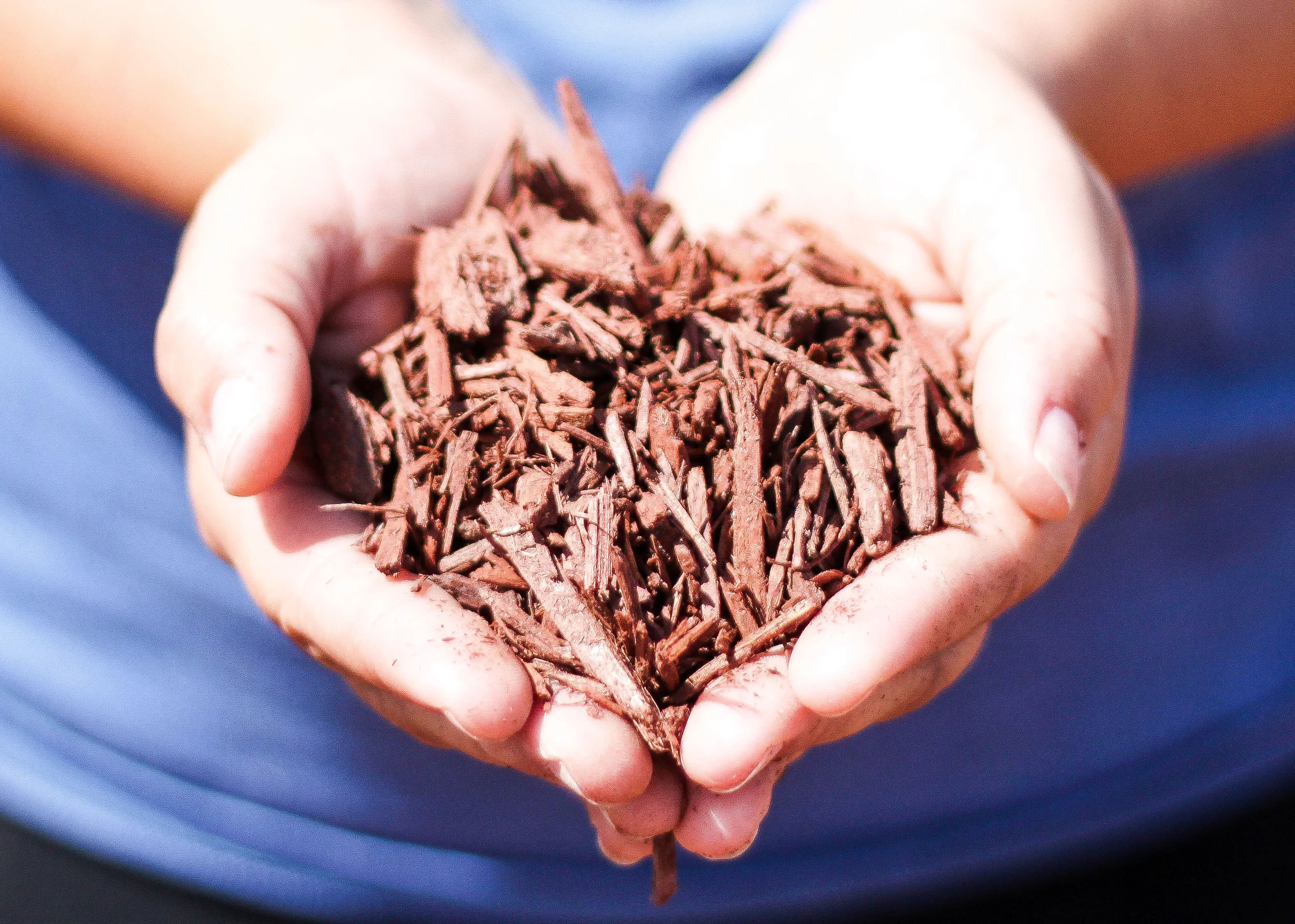 Red-Mulch-7.jpg