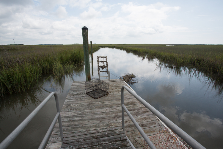 Bull's Bay, the salt water source. Photo courtesy of Bulls Bay Saltworks.