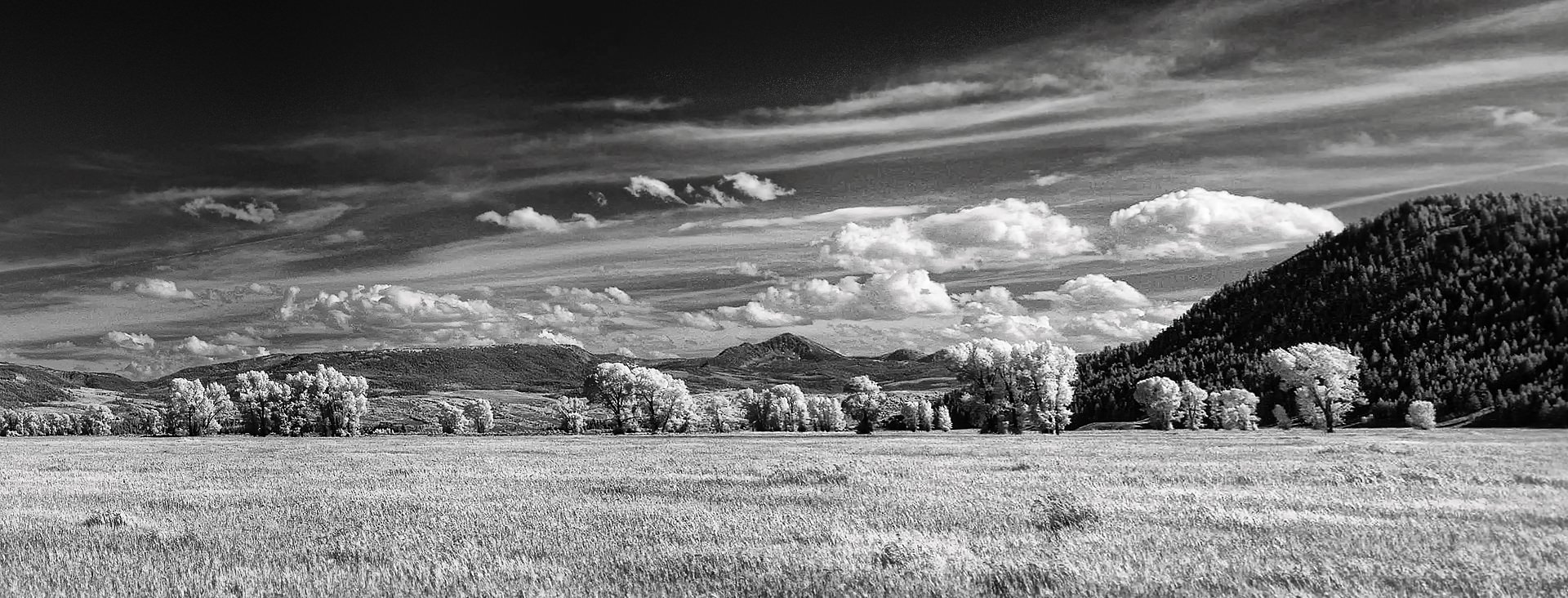 Antelope Flats, Wyoming, 2014