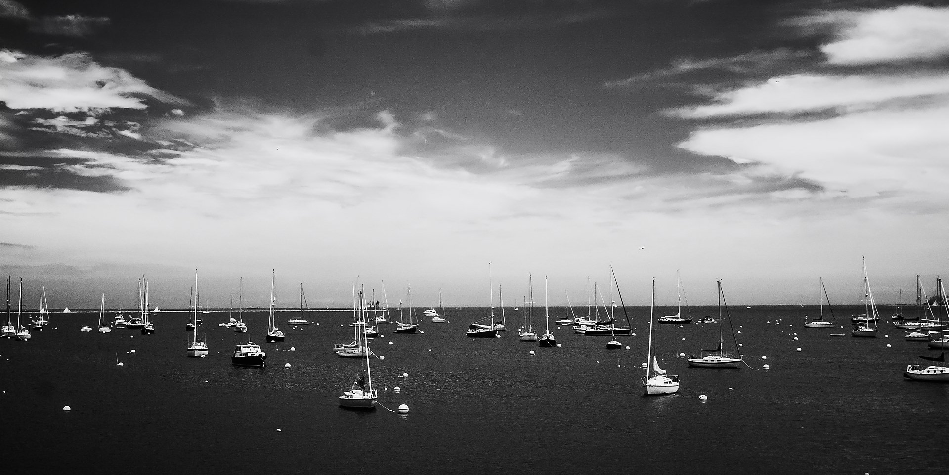 Rockland Harbor, 2013