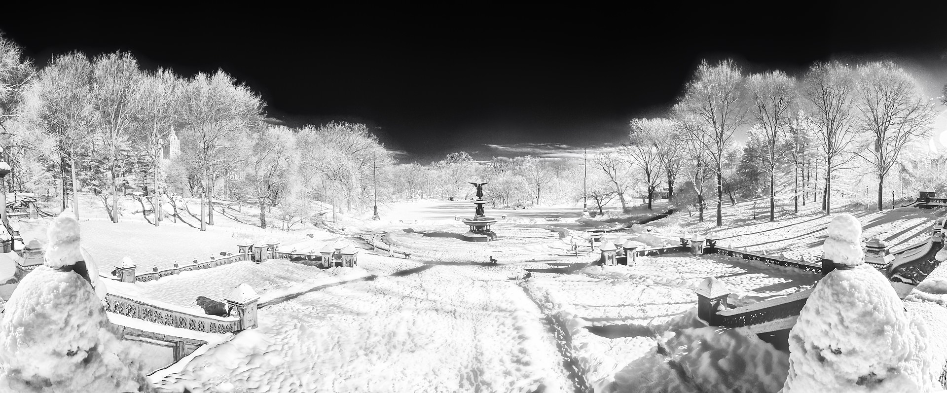 Bethesda Fountain, Winter 2014