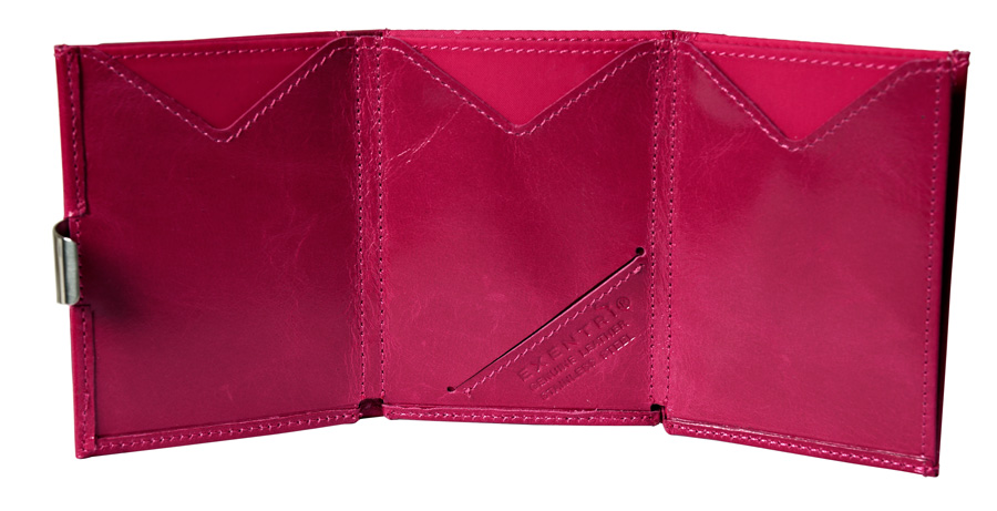 EX D 303 Pink Dream utbrettet.jpg
