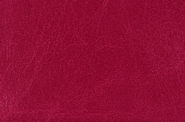 EX D 303 Pink Dream utsnitt.jpg