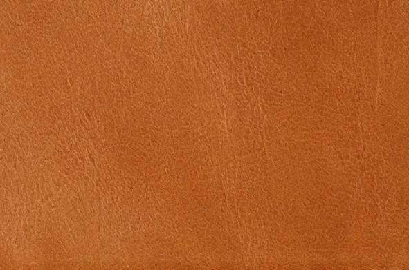 EX D 315 Cognac utsnitt.jpg