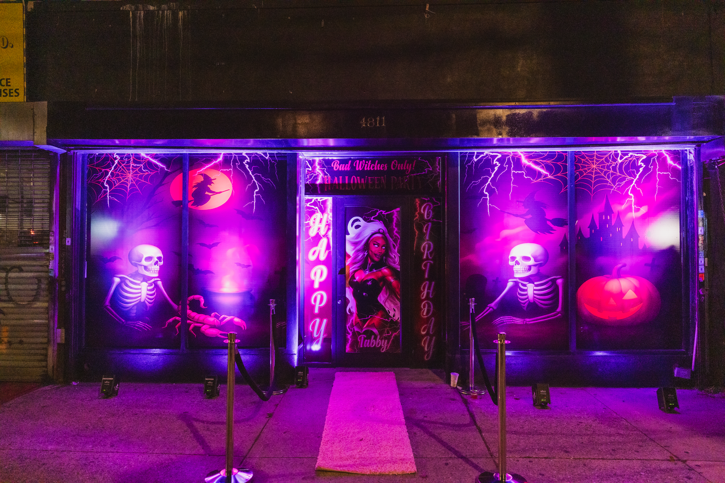 TabbyBdayPart2025-067.png