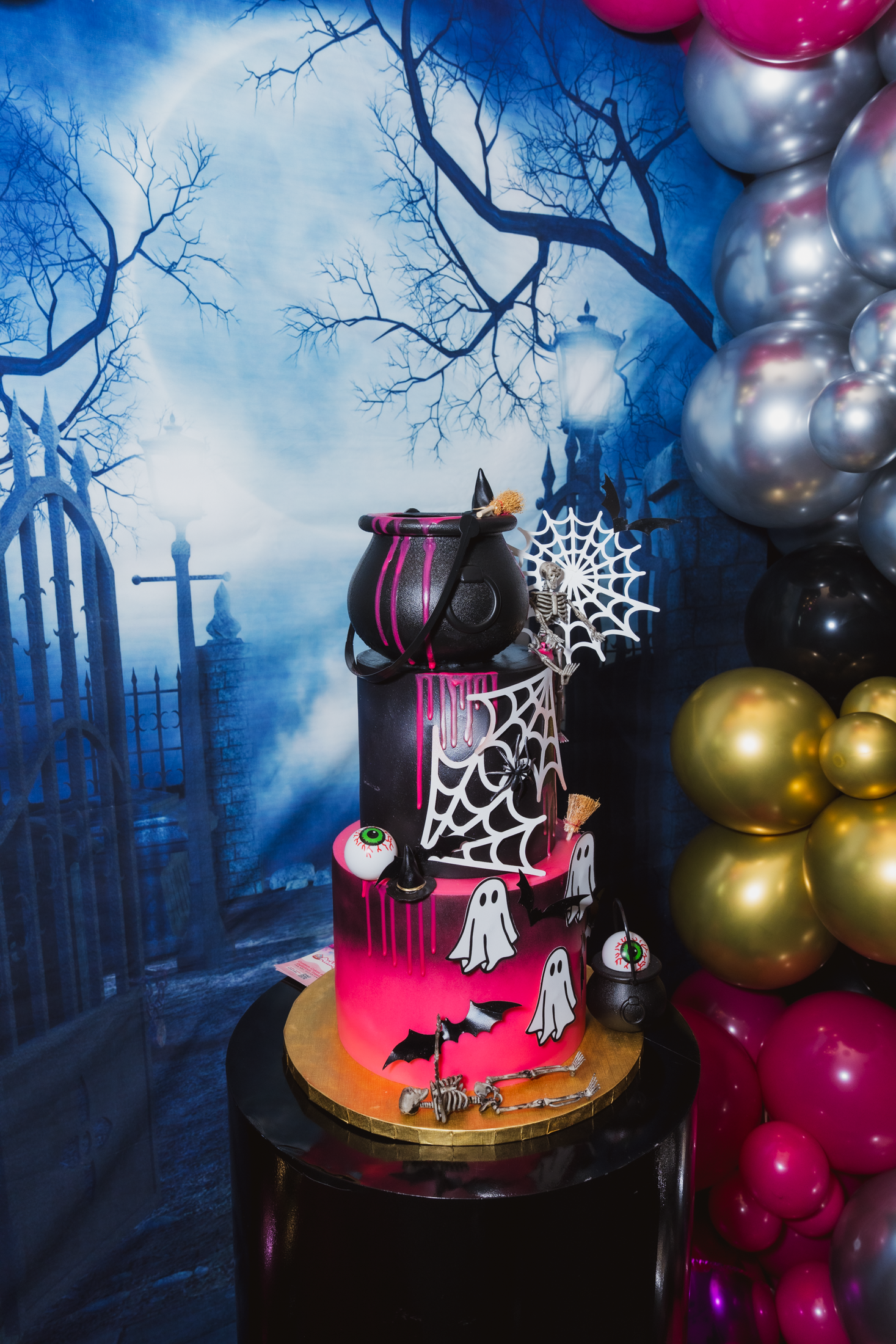 TabbyBdayPart2025-074.png