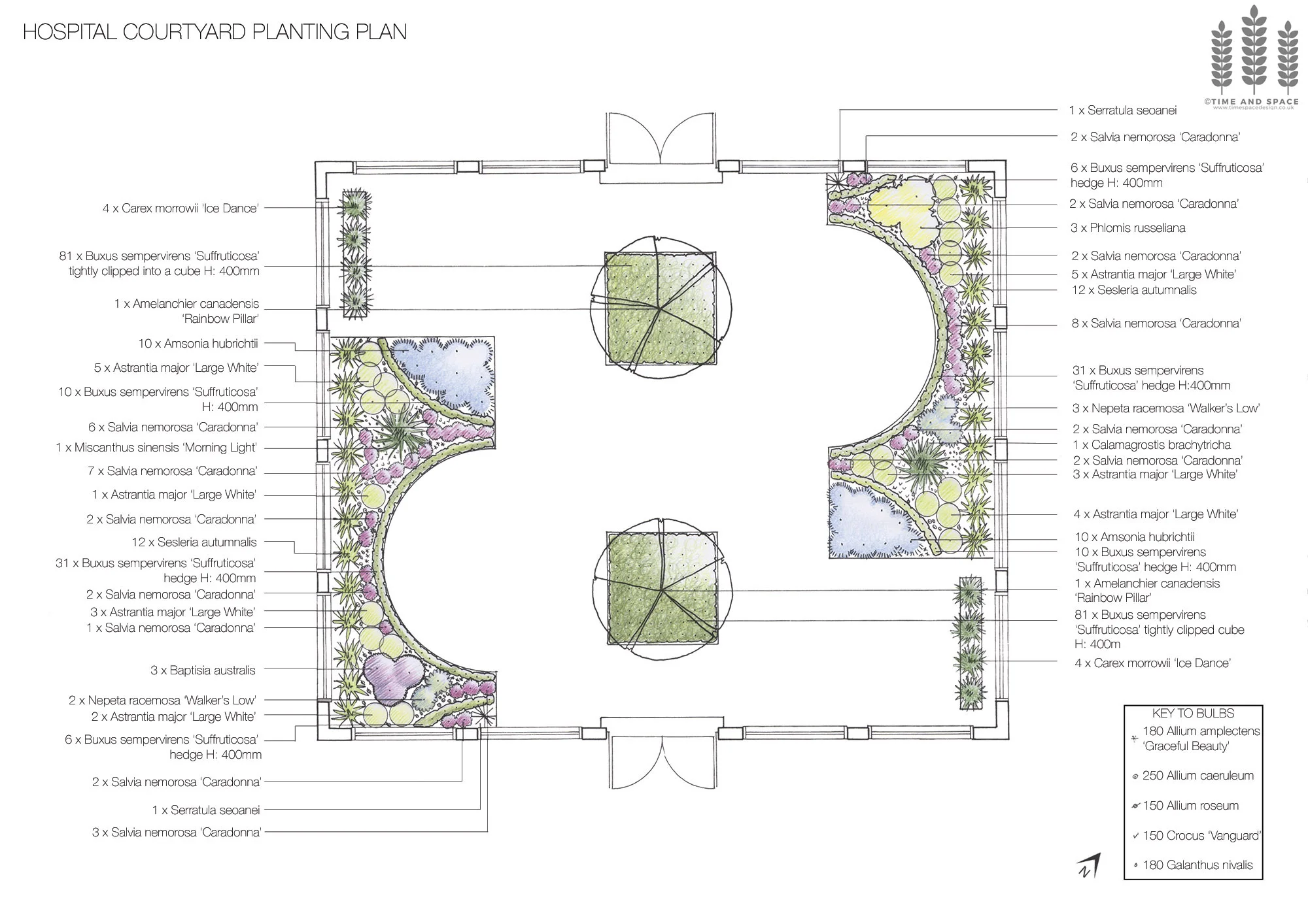 Planting scheme for a hospital courtyard