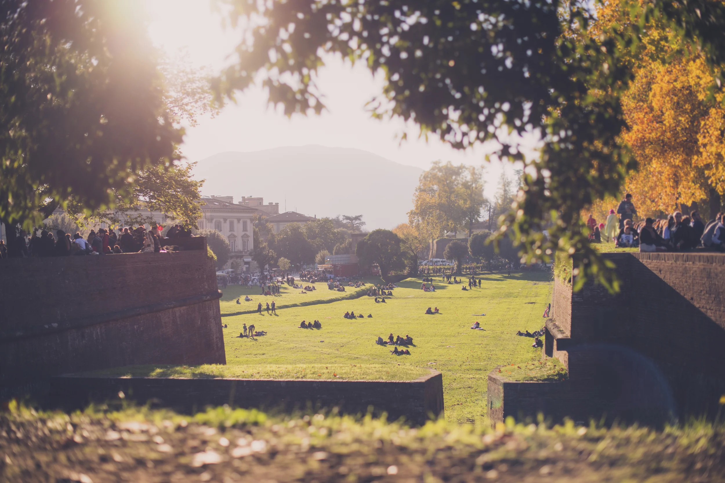 iStock_000077916101_Large.jpg