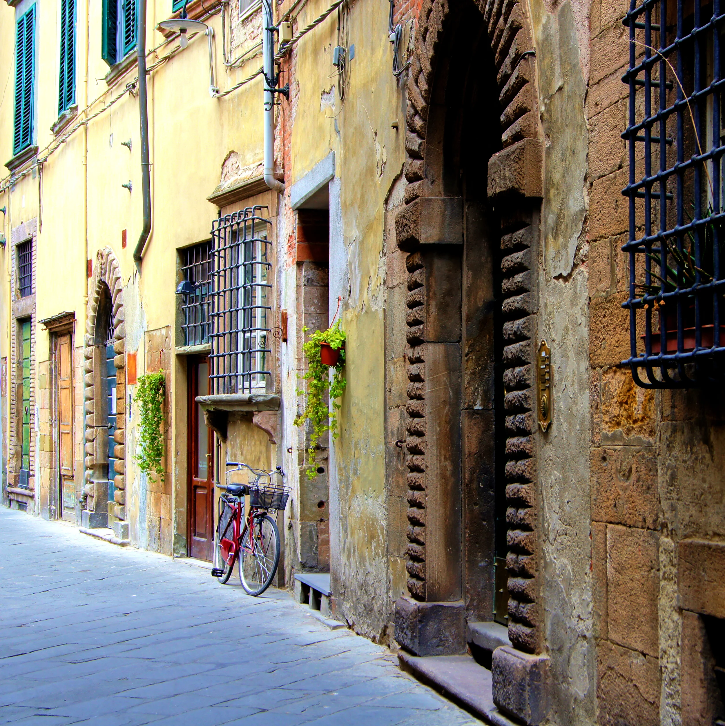 iStock_000020007906_Large.jpg