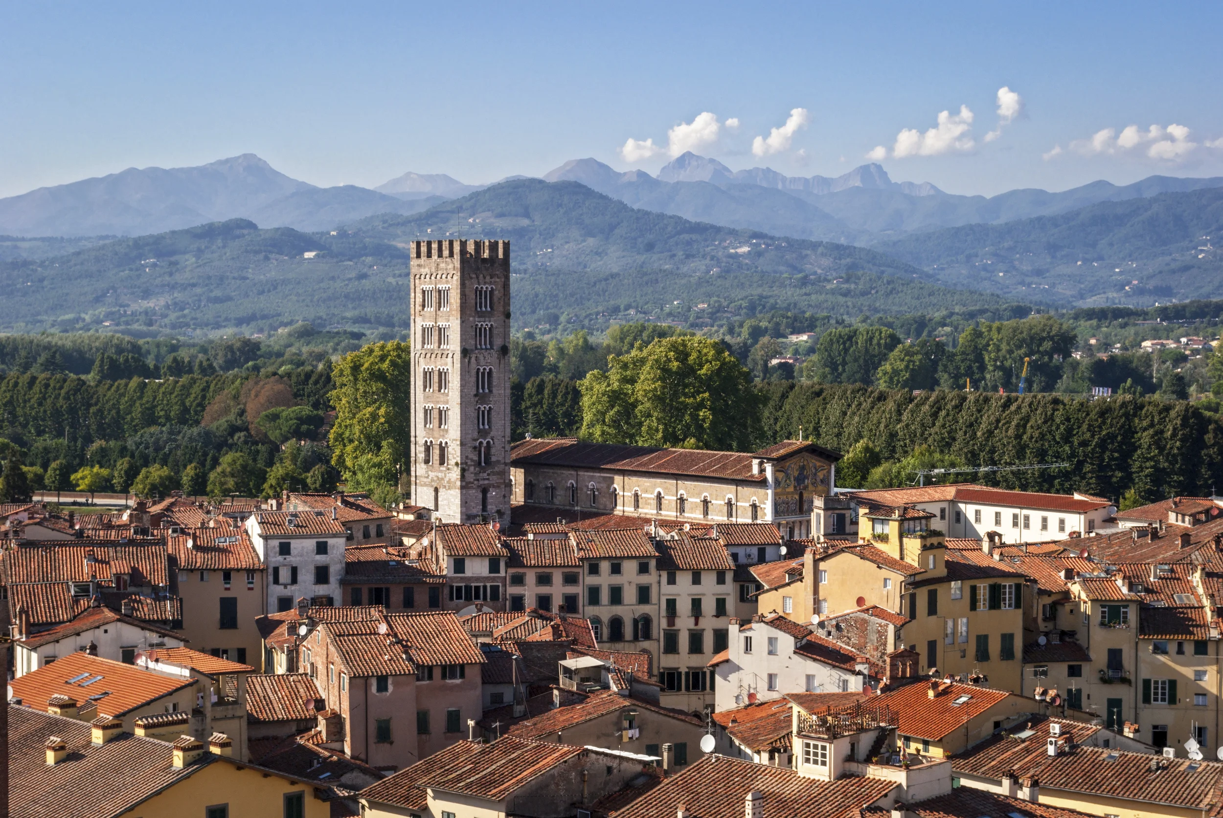 iStock_000053001856_Large.jpg