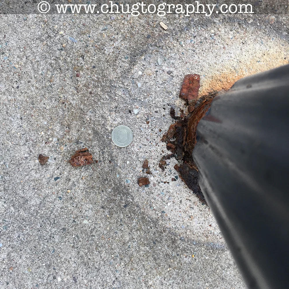 IMG_1480.jpg