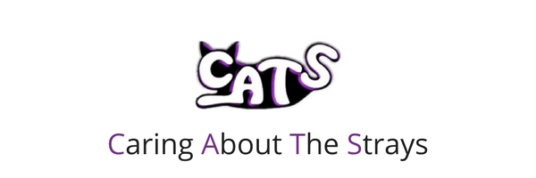 Caring About The Strays header logo.png