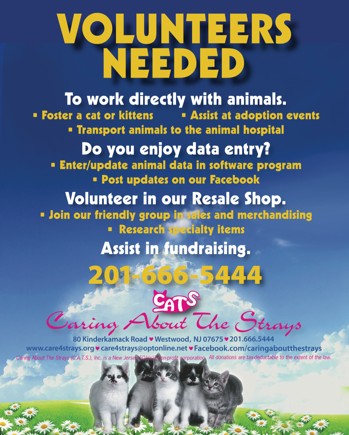 Volunteers — CARING ABOUT THE STRAYS
