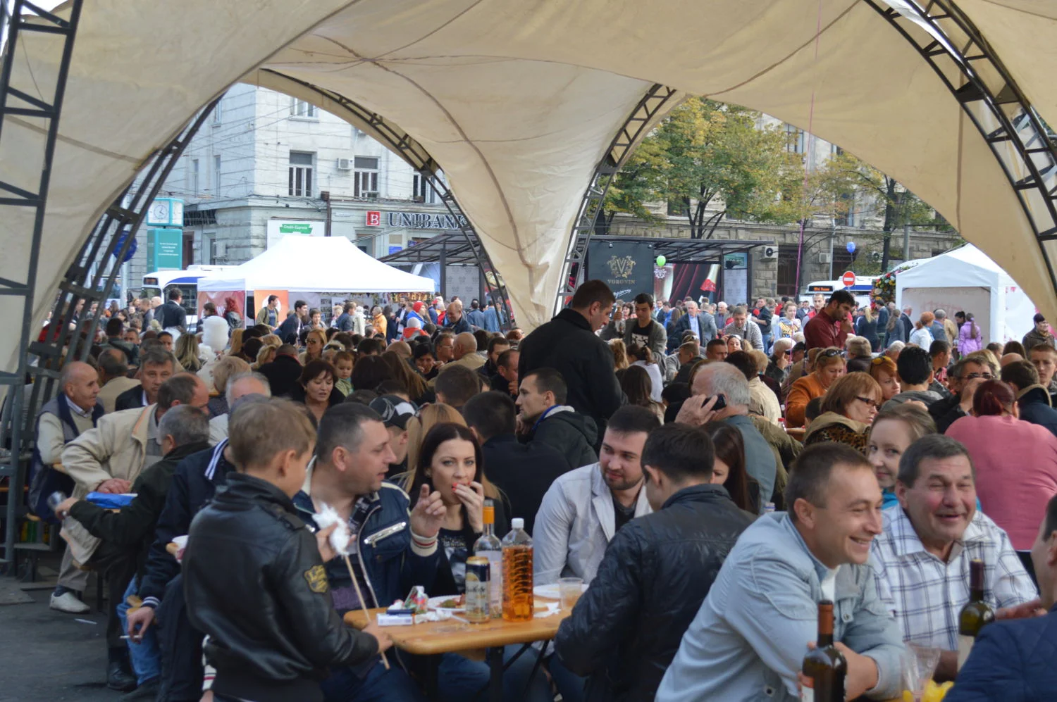 Moldovan_Wine_FEstival_Chisinau.JPG