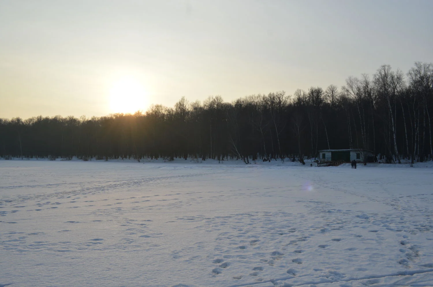 Frozen_lake_Izmaylovsky_park.JPG