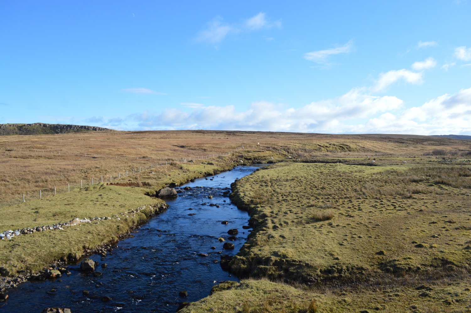 DSC_0679.JPG