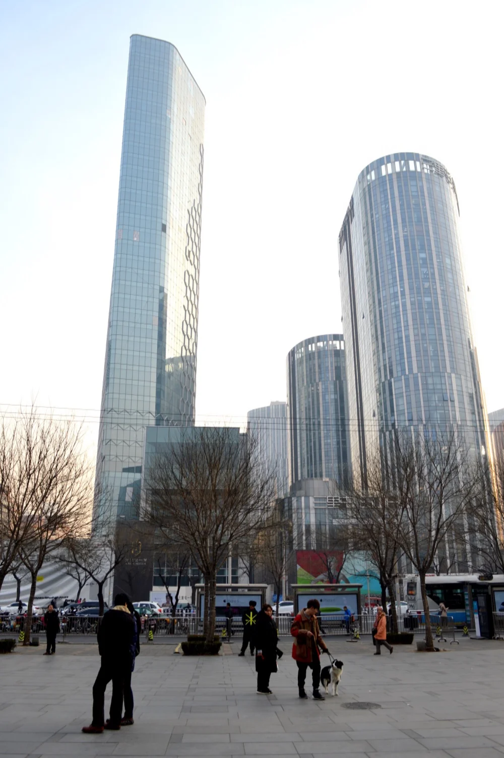 DSC_1260.JPG