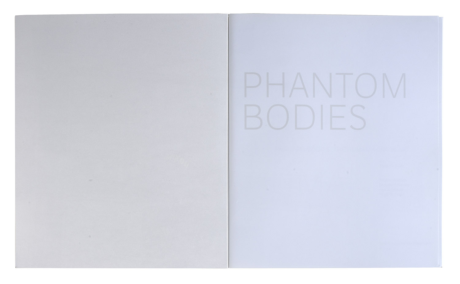 phantom_1.jpg
