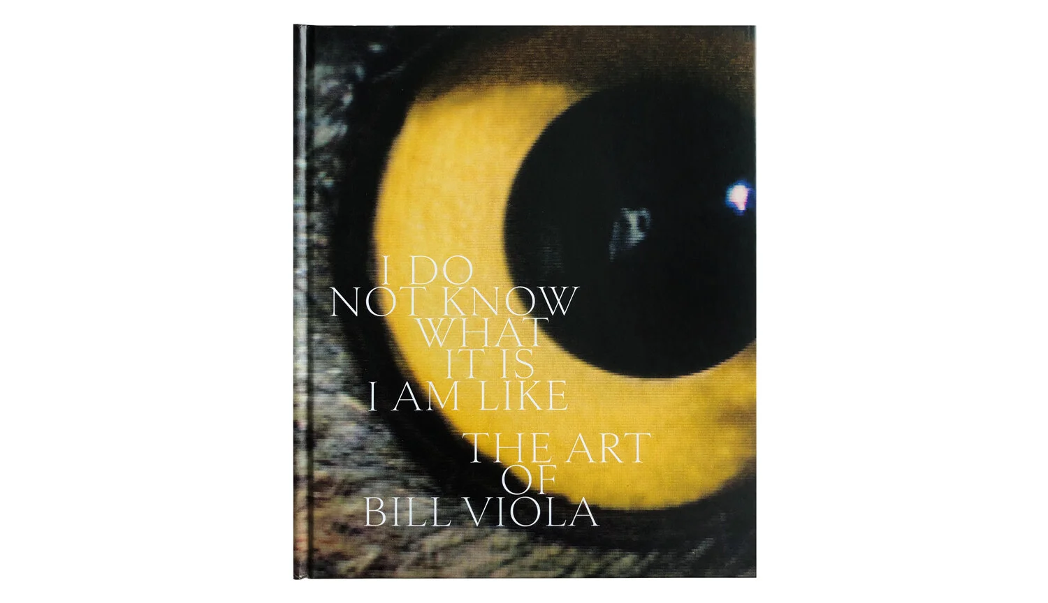 bv_cover.jpg