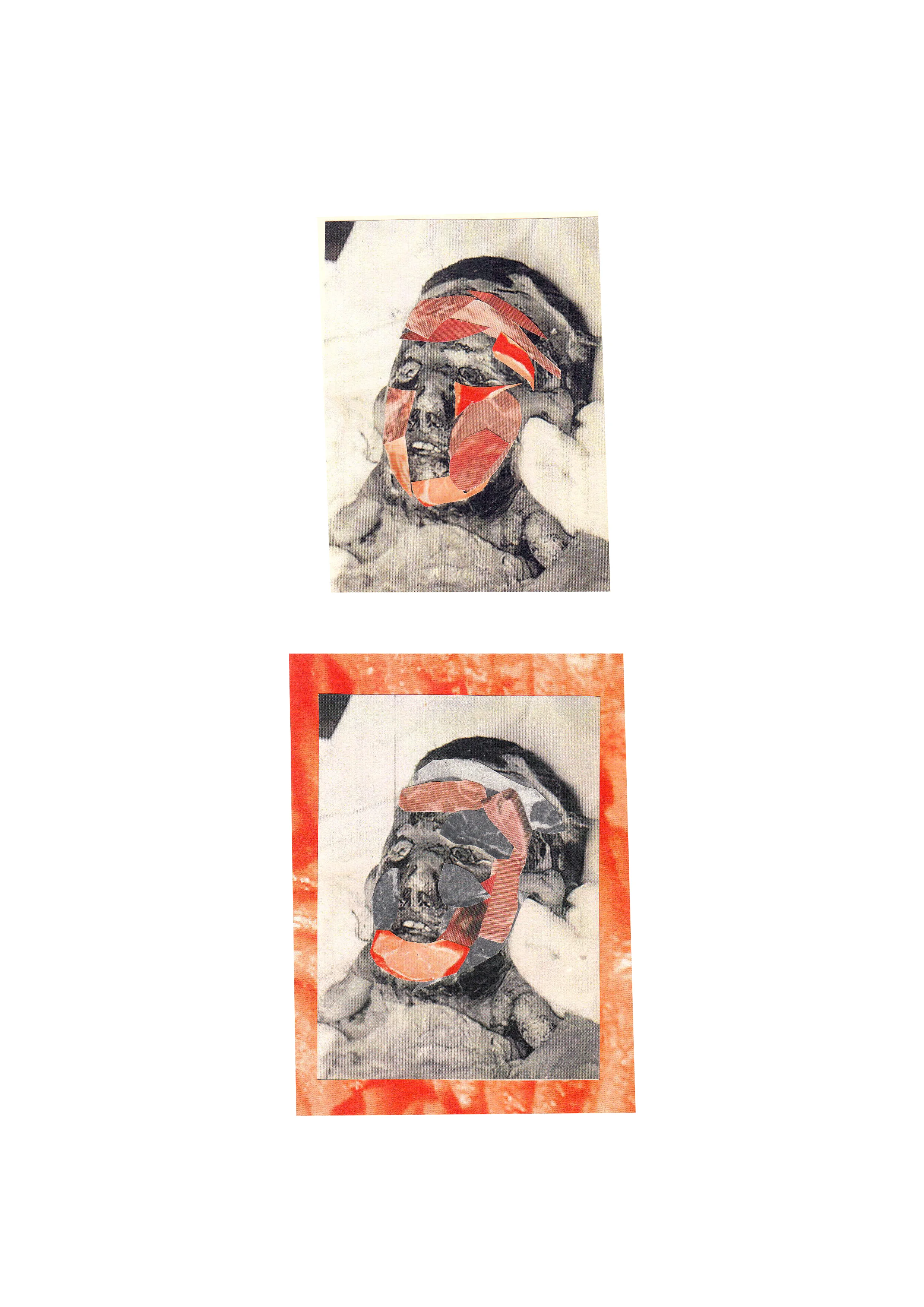 collage14.jpg