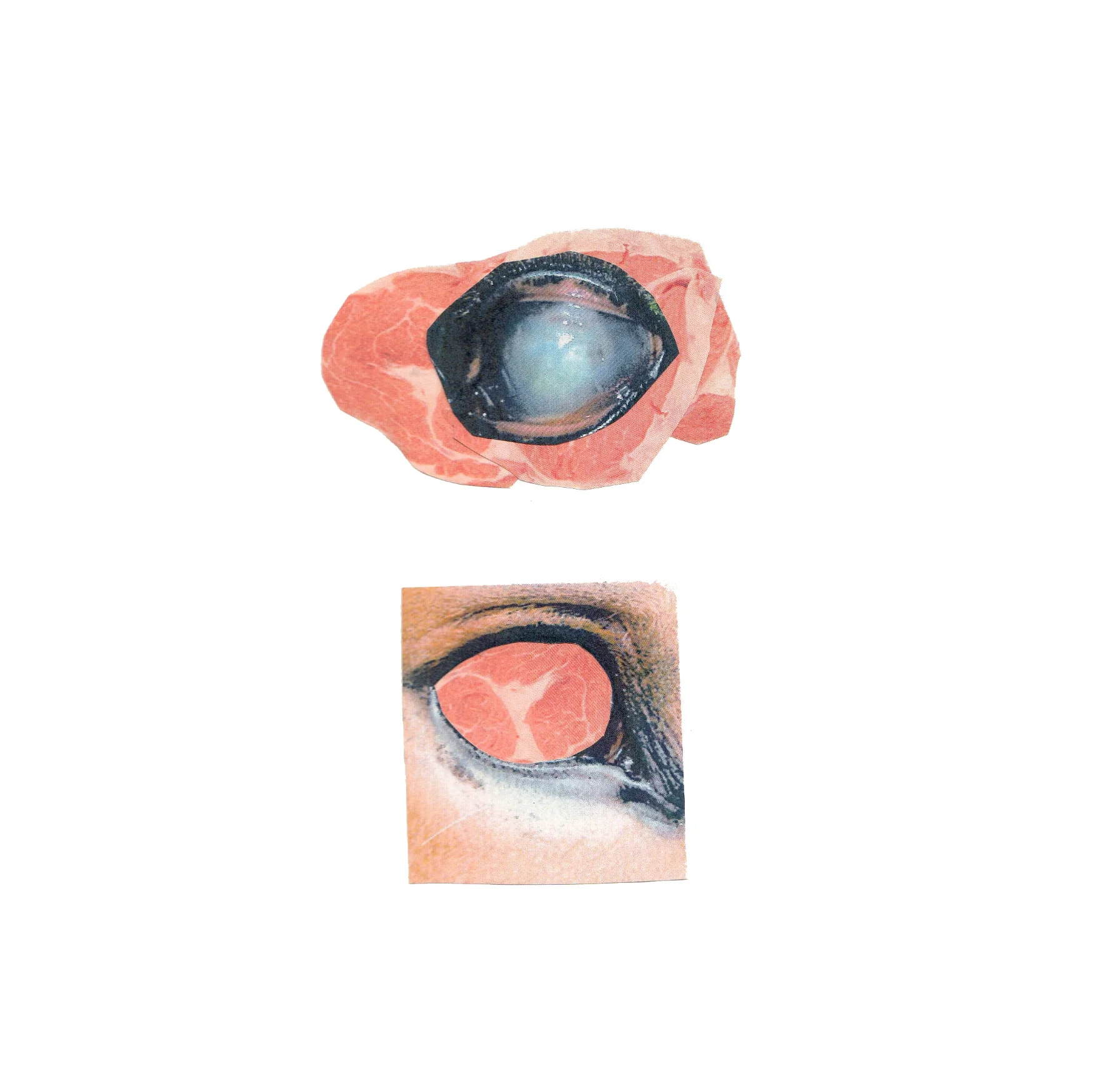 eyes.jpg