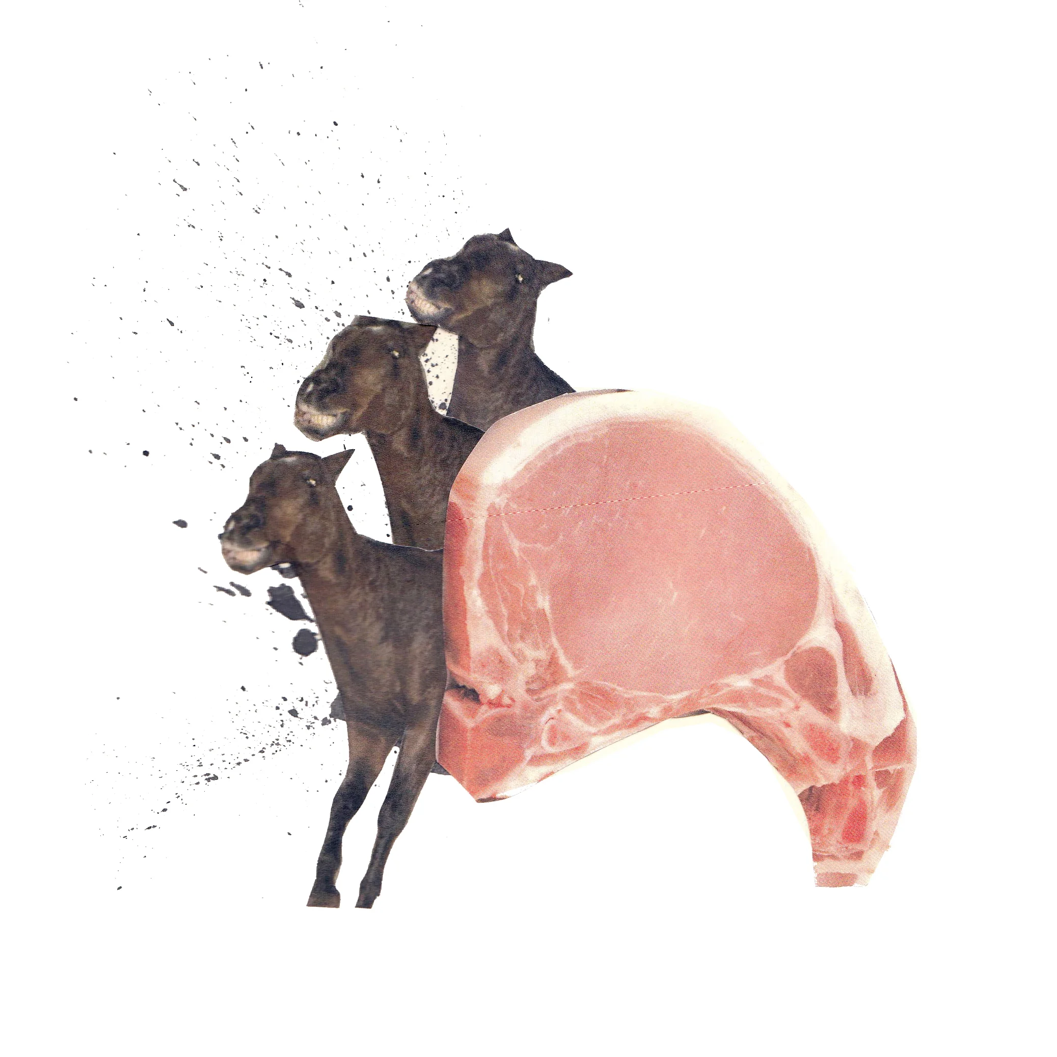 collage13.jpg