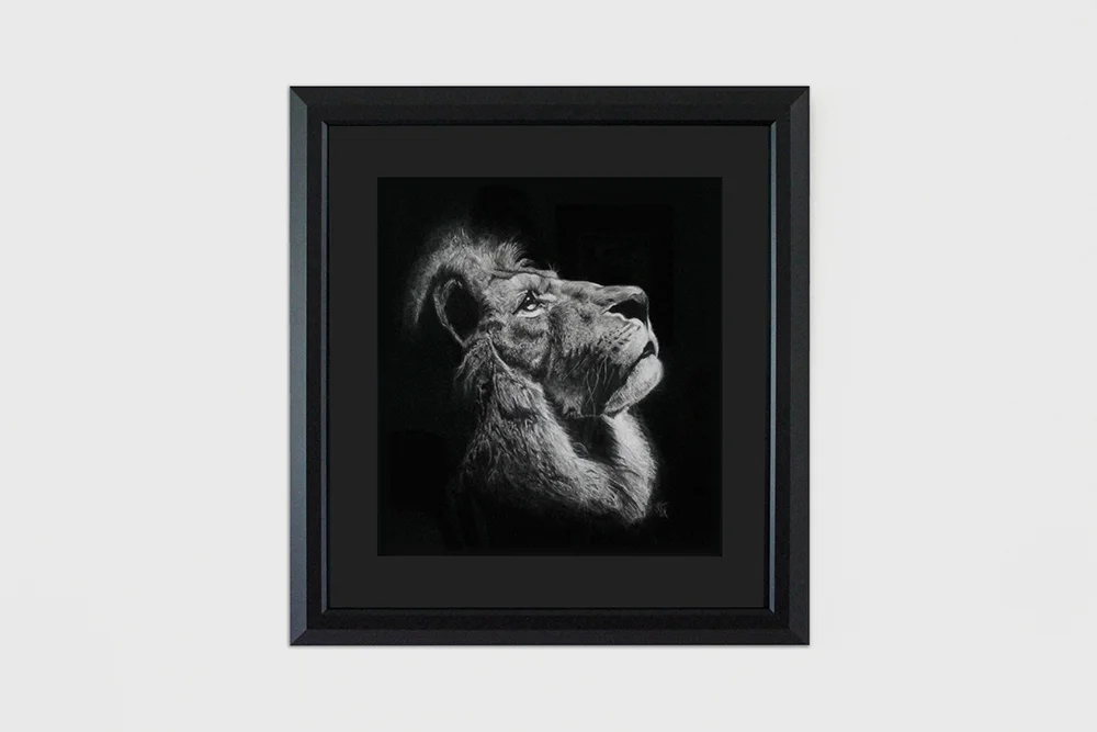Alicia_Cox_Designs_Lion_Drawing_v1.jpg
