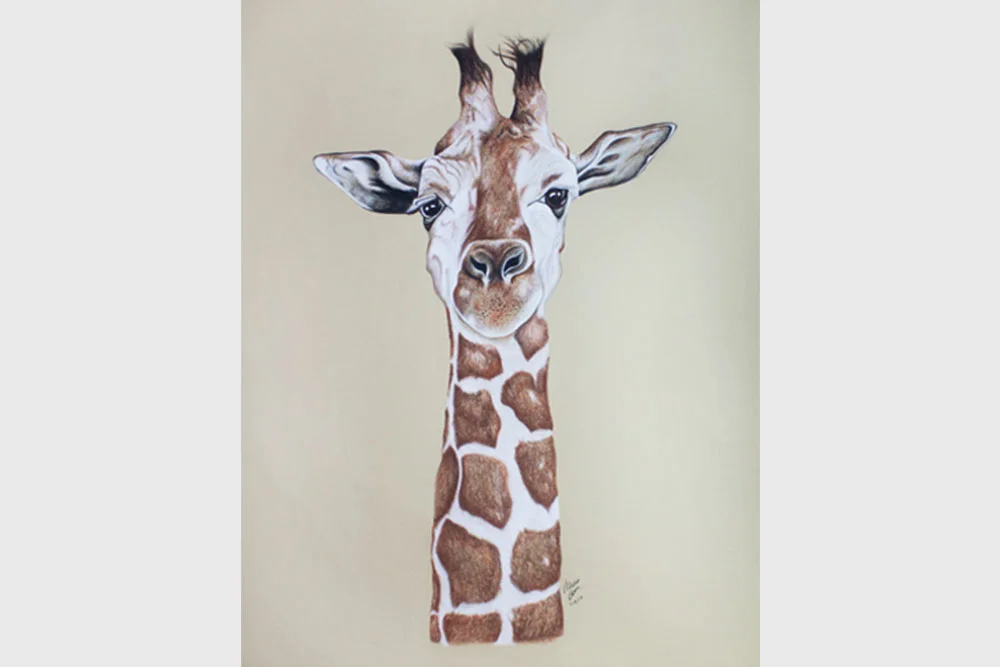 Alicia_Cox_Designs_Giraffe_Drawing_v6b.jpg
