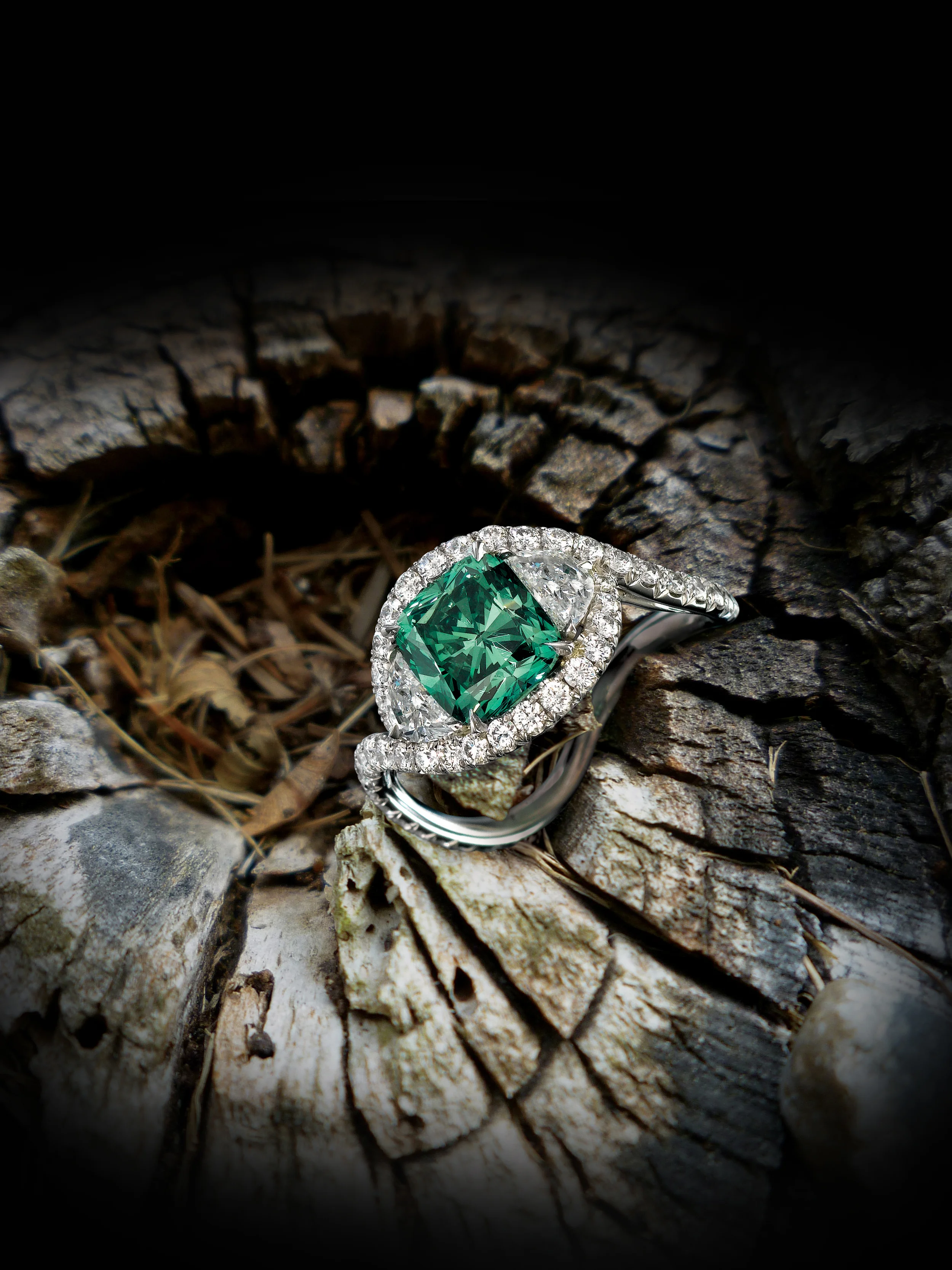 darken200DBLGREEN_Wood-copy.jpg